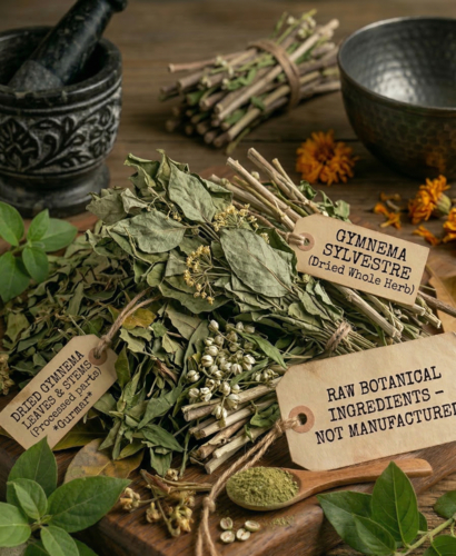 Gymnema Sylvestre leaves, Ayurvedic herb for blood sugar support
